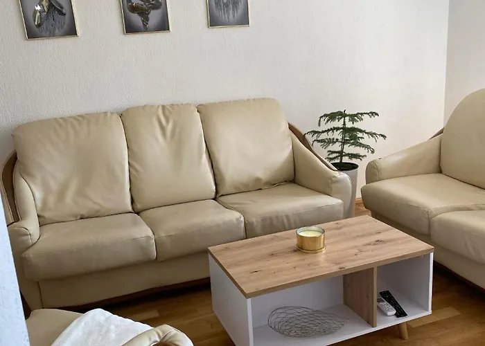 “djanina 2” סנדנסקי